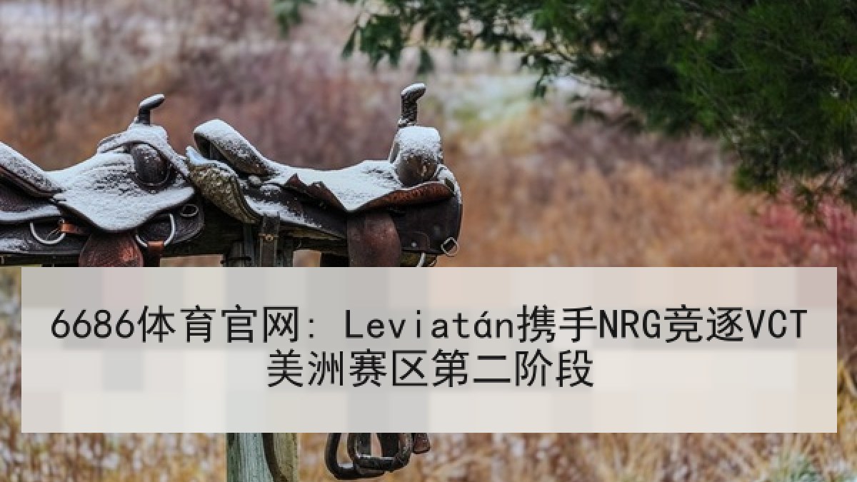 6686体育官网: Leviatán携手NRG竞逐VCT美洲赛区第二阶段