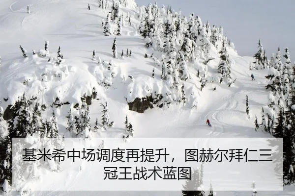 基米希中场调度再提升，图赫尔拜仁三冠王战术蓝图